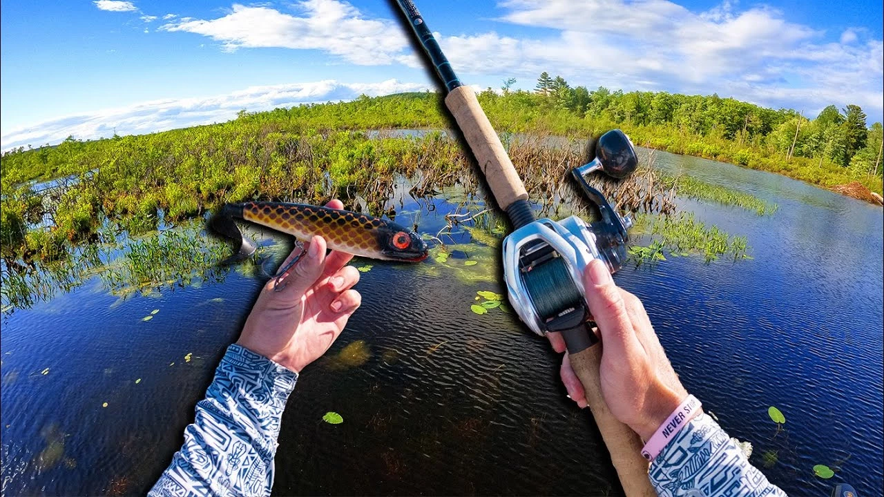 Line Cutterz Shop -Line Cutterz Shop 1.00