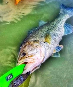 COMBO DEAL - Line Cutterz Ring + Lunker Tamers By The Fish Grip
