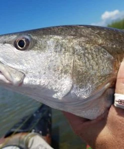 5-Pack Custom Printed Line Cutterz Rings - Add Your Logo! Ring Cutterz