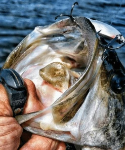 Ring Cutterz Package Deal! 5 Black Line Cutterz Rings